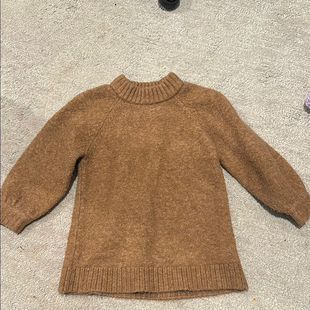 Zara Brown Knit Sweater with Ribbed Crew Neck